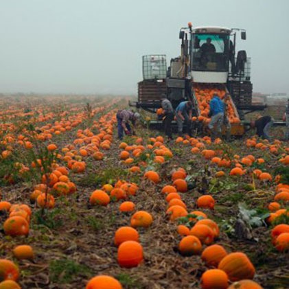 Agriculture